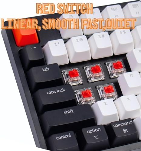 Keychron C2 Wired Full-Size Keyboard, Keychron Red Switch, White Backlight - Image 4