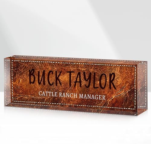 Custom Name Plate for Desk, Acrylic Desk Name Plate Personalized, Employee Appreciation Gifts, Office Desk Accessories for Women Men Teacher Nurse, Coworker Gifts for Manager Assistant (SaddleBrown) by DOCRAGI