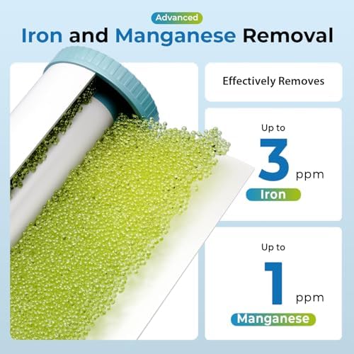 iSpring Iron, Manganese, H2S Whole House Water Filter System - Image 2