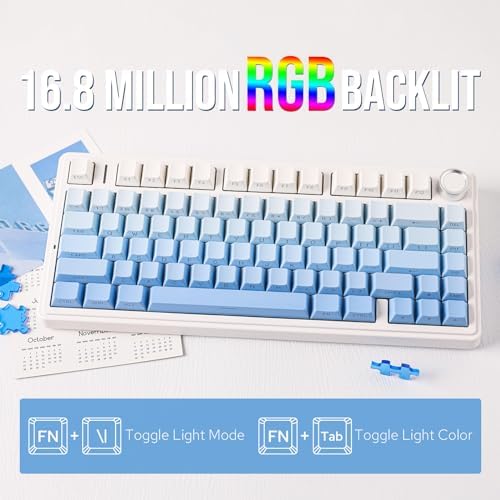 EPOMAKER x Aula F75 Gasket Mechanical Keyboard, 75% Wireless Hot Swappable Gaming Keyboard with Five-Layer Padding&Knob, BT/2.4GHz/USB-C, RGB (Blue Gradient, LEOBOG Reaper Switch) - Image 5