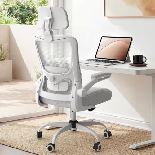 Ergonomic Office Chair for Lower Back Relief, 4-Way Lumbar, 330 LBS by DesignedforFocusedHours