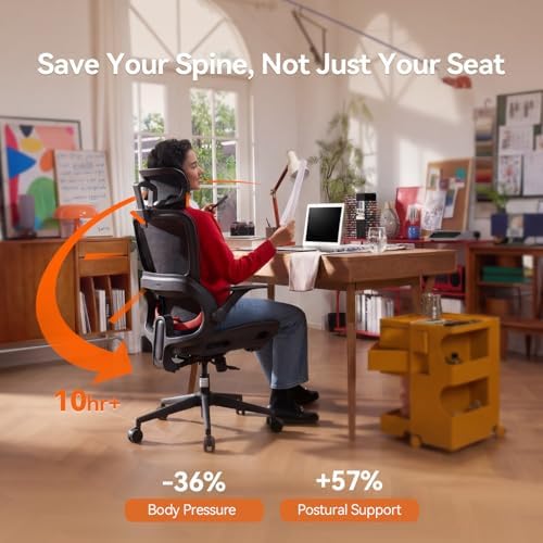 SIHOO B100 Mesh Ergonomic Office Chair with Adaptive Lumbar Support - Image 2