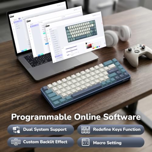 RK ROYAL KLUDGE RK68 65% RGB Wireless Mechanical Keyboard for Gaming, Work - Image 4