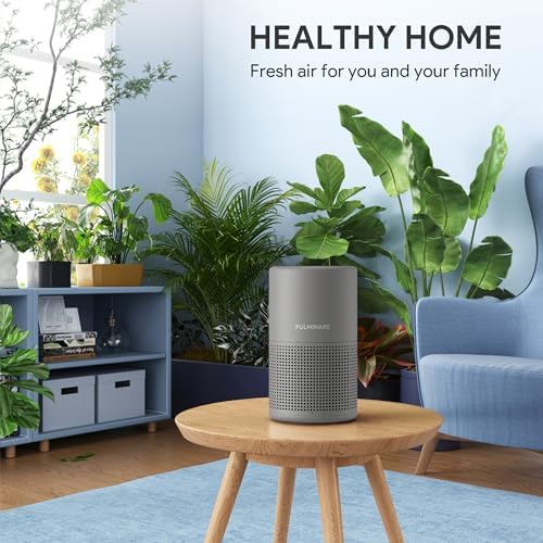 FULMINARE Air Purifiers for Home H13 True HEPA Air Filter (Gray 2 Pack) - Image 2