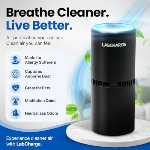 LabCharge Small Ionic Air Purifier for Home & Bedroom – Silent HEPA Filter – Covers 250 Sq Ft – For Pet Hair, Smoke, Dust, Odors & Dander – Compact Black Design – Pack of 5 - Image 3