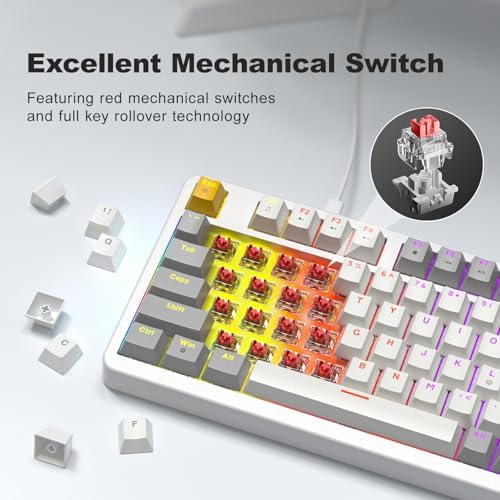 GEEZER AK96 Mechanical Gaming Keyboard, Pre-Lubed Red Switches, 96 Keys Full Size with LED Colorful Backlit, Clicky Creamy Sound, USB Wired Computer Keyboard with Volume Knob for PC, Mac, Windows - Image 4