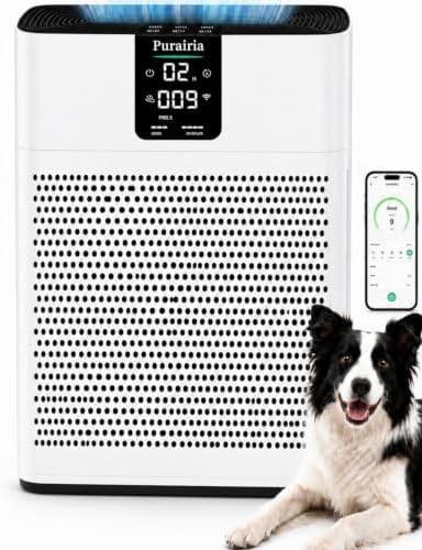 Air Purifier for Home Bedroom Office, HEPA Air Purifiers with 2 Filters by Purairia
