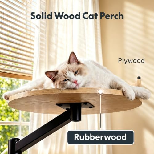 FLEXISPOT EN2 55"x28" Standing Desk with Solid Wood Cat Bed, Maple - Image 3