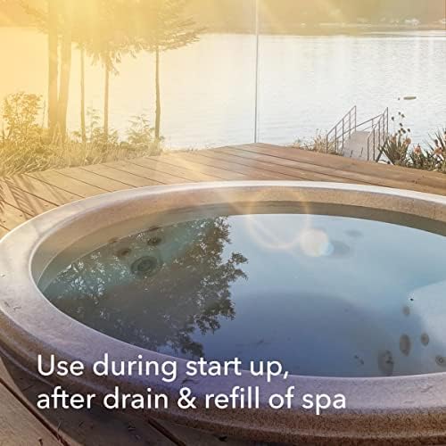 Leisure Time D Metal Gon Protection for Spas and Hot Tubs, 16 fl oz (Package May Vary) (Pack of 2) - Image 4