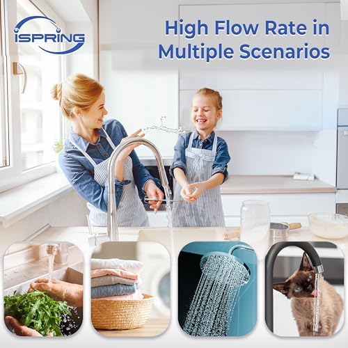 iSpring Whole House Water Filter System, Reduces Chlorine, Chloramine, Lead, Water Filter Lasts up to 3 Years, Model: WF1024 - Image 4