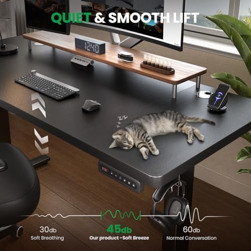 Black 47x24 in Electric Standing Desk, 0.8 Inch Thick Tabletop - Image 6