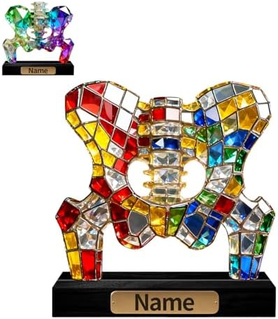 Personalized Acrylic Human Pelvis Anatomical Decoration Colorful Figurine with Custom Name Plate, Medical & Anatomy Desktop Ornament, Gifts for Orthopedic Doctors Medical Students by Unknown
