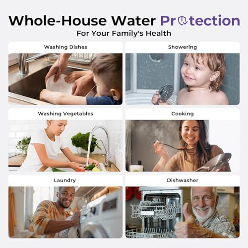 iSpring WGB31B-DS Anti-Scale Whole House Water Filter System - Image 5