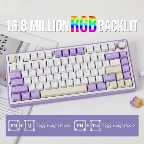 EPOMAKER x Aula F75 Gasket Mechanical Keyboard, 75% Wireless Hot Swappable Gaming Keyboard with Five-Layer Padding&Knob, BT/2.4GHz/USB-C, RGB (Purple, LEOBOG Reaper Switch) - Image 5