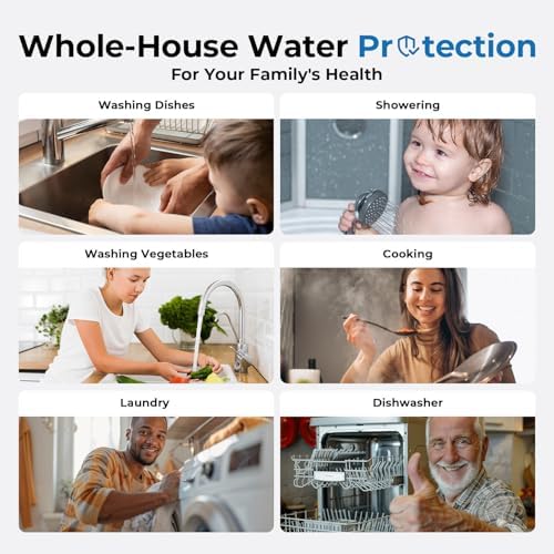 iSpring Iron, Manganese, H2S Whole House Water Filter System - Image 6