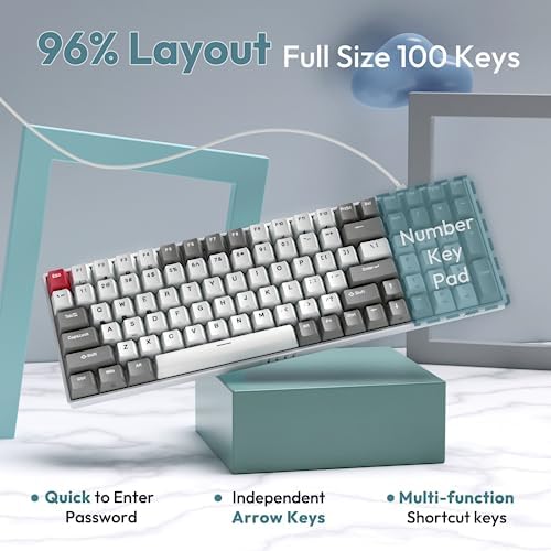 RK ROYAL KLUDGE RK100 Wireless Mechanical Keyboard RGB Backlit Bluetooth5.1/2.4G/Wired 96% Full Size 100-Key Hot Swappable Gaming Keyboard Brown Switch Classic - Image 4