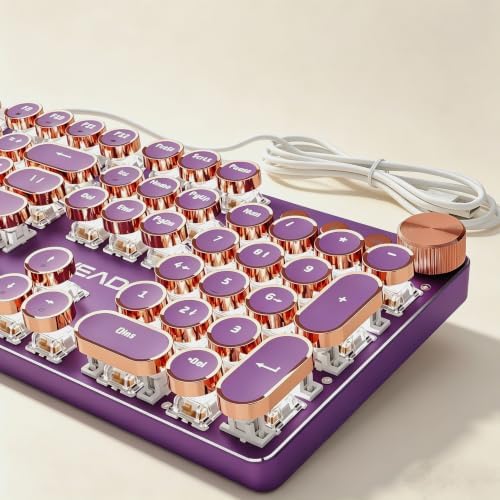 Wired Typewriter Mechanical Keyboard, Retro Punk Keyboard with Media Knob by SEUNKWANG
