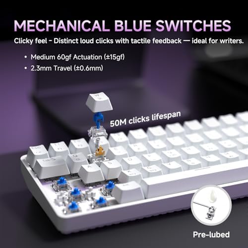 DIERYA DK68 60% Wireless Mechanical Gaming Keyboard, 3-Mode, Bluetooth 5.0/2.4G/USB-C, RGB Backlit, 68-Key Compact Mini for Windows, Mac, Linux - Clicky Blue Switch - White - Image 4
