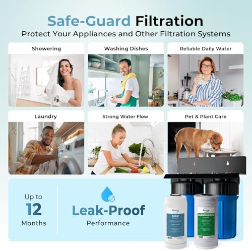 iSpring WGB21B-PB 2-Stage Lead & Chloramine Whole House Water Filter System - Image 5