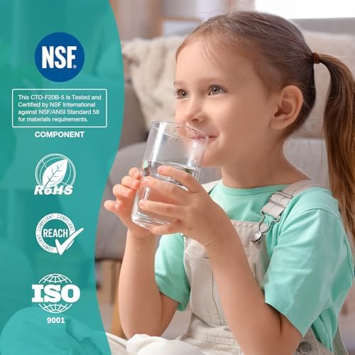 SimPure 5 Micron 20" x 4.5" CTO Carbon Whole House Water Filter Cartridge - Image 4