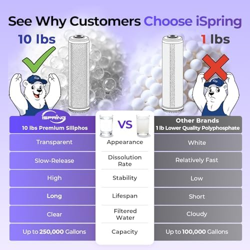 iSpring WGB32B-DS Anti-Scale Whole House Water Filter System - Image 3