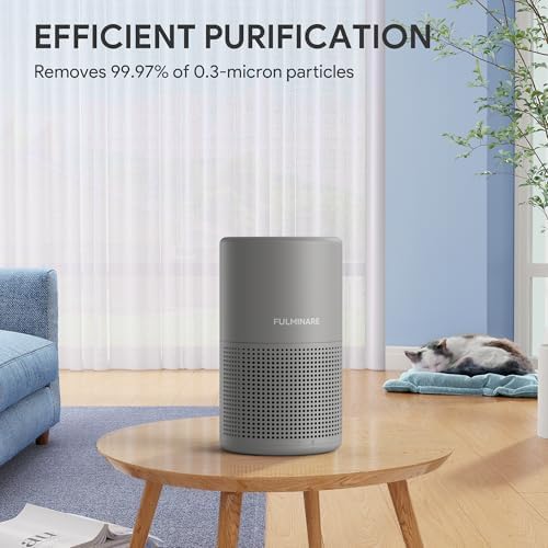 FULMINARE Air Purifiers for Home H13 True HEPA Air Filter (Gray 2 Pack) - Image 3