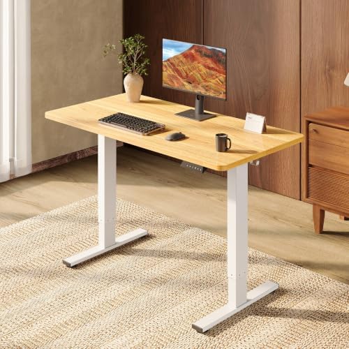 SANODESK One-Piece 48 x 24'' Electric Height Adjustable Standing Desk by sanodesk