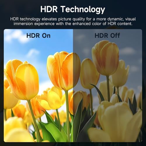 AYY Portable Monitor 18.5 Inch 100Hz 100% sRGB,1080P FHD IPS Large Portable Monitor with Kickstand,for Laptop HDMI HDR USB C Mac PC Xbox PS4/5 Switch - Image 4