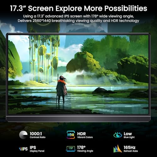 VILVA 17.3" QHD 165Hz USB-C HDMI Gaming Monitor - Image 2