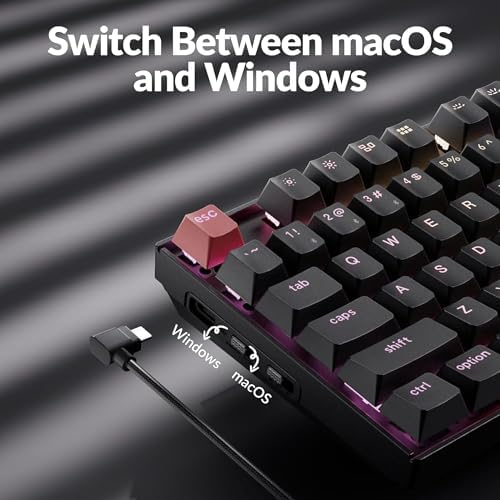 Keychron K8 Version 2 TKL Custom Wireless Mechanical Keyboard, QMK Programmable Bluetooth 5.2/Wired, RGB Backlit with Shine-Through PBT Keycaps, Super Red Switch for Mac Windows Linux - Image 3