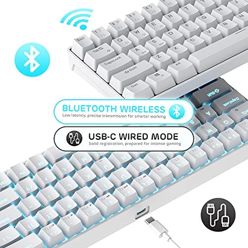 RK ROYAL KLUDGE RK68 Wireless Hot Swappable 65% Mechanical Keyboard Gaming - Image 2