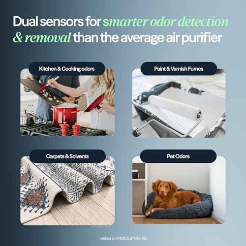 BLUEAIR Air Purifiers for Home up to 2,390 Ft², Signature SP3i - Image 4