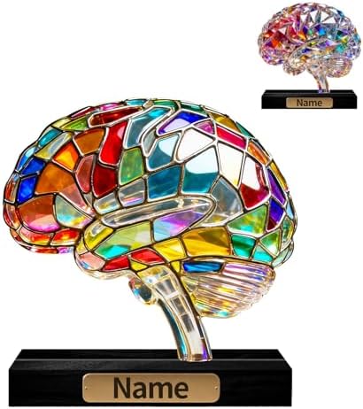 Personalized Acrylic Human Brain Anatomical Decoration Colorful Figurine with Custom Name Plate, Medical & Anatomy Desktop Ornament, Gifts for Neuroscientists Doctors Medical Students by Unknown