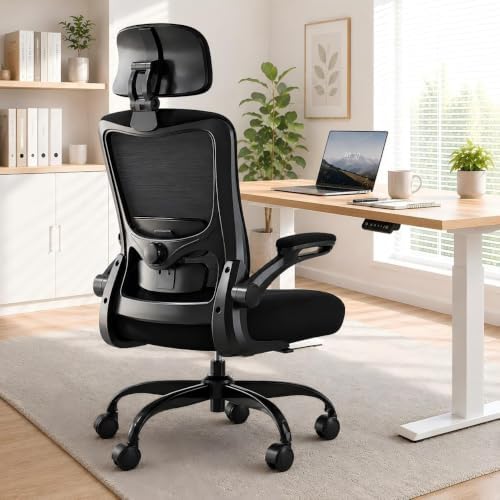 Ergonomic Office Chair for Lower Back Relief, 4-Way Lumbar, 330 LBS by DesignedforFocusedHours