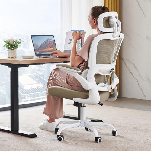 TRALT Office Chair Ergonomic Desk Chair with Lumbar Support Khaki, 1 by TRALT