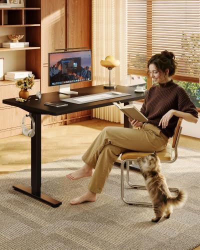 FLEXISPOT EN1 40"x24" One-Piece Standing Desk, Black (Black Frame) - Image 2