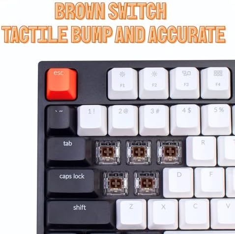 Keychron C2 Wired Full-Size Keyboard, Brown Switch, White Backlit - Image 4